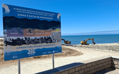 Projeto de alimentação artificial de praia, na Figueira da Foz, disponibiliza informação das ações em curso