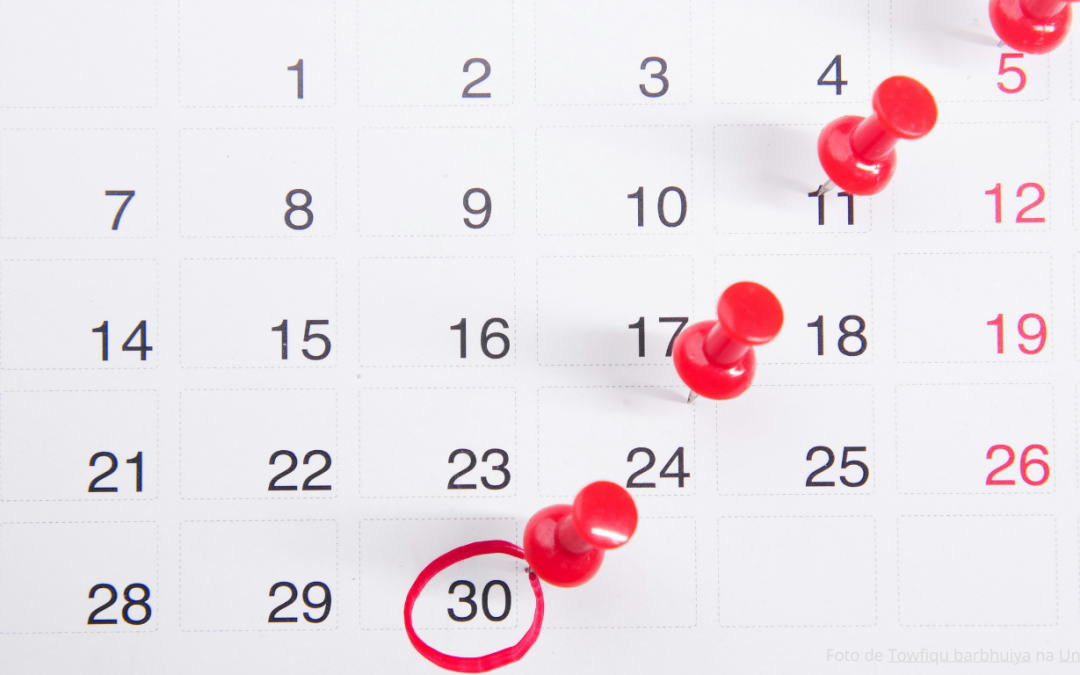 Mais de 3,6 mil M€ vão ser lançados a concurso nos próximos 12 meses no âmbito do Portugal 2030