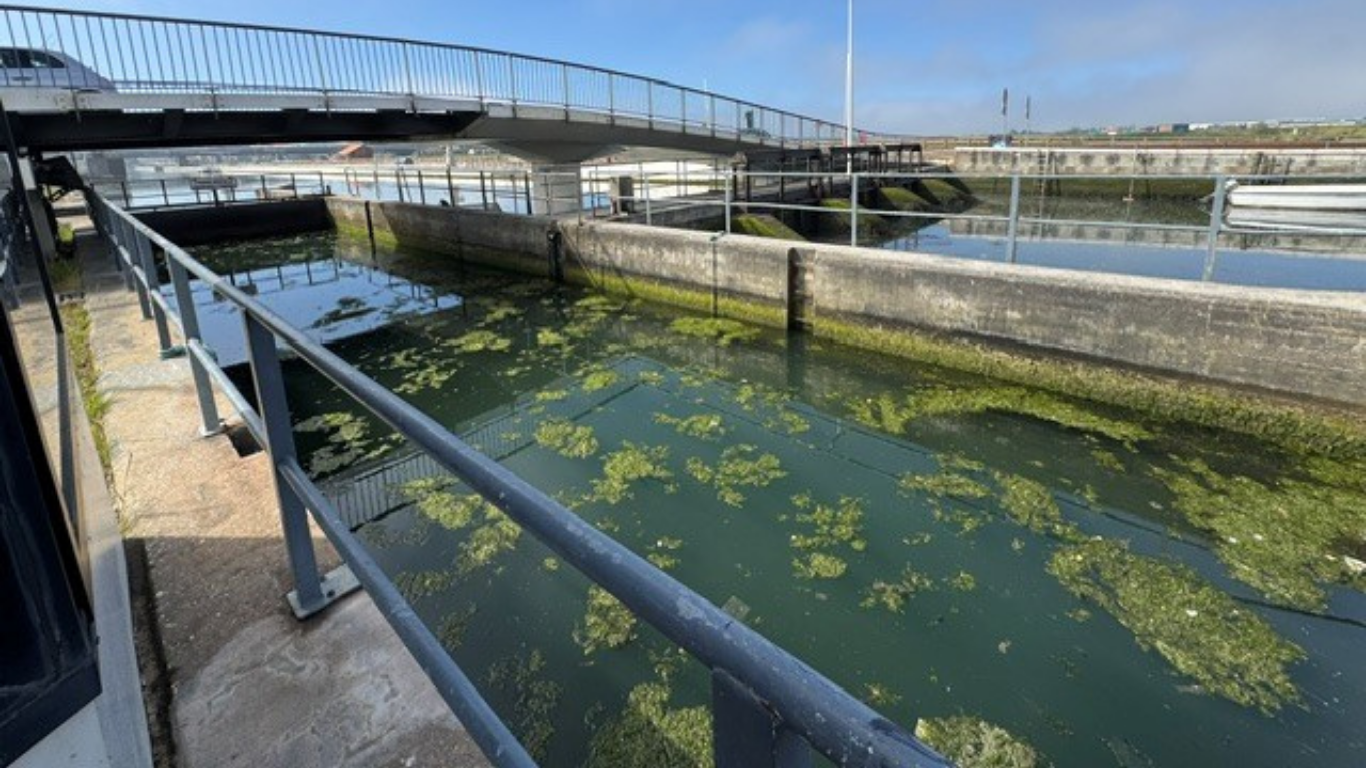 PACS-FC-03581700 – Canais Urbanos de Aveiro